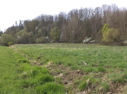 Prodej pozemku, trvalý travní porost, 2 759 m²