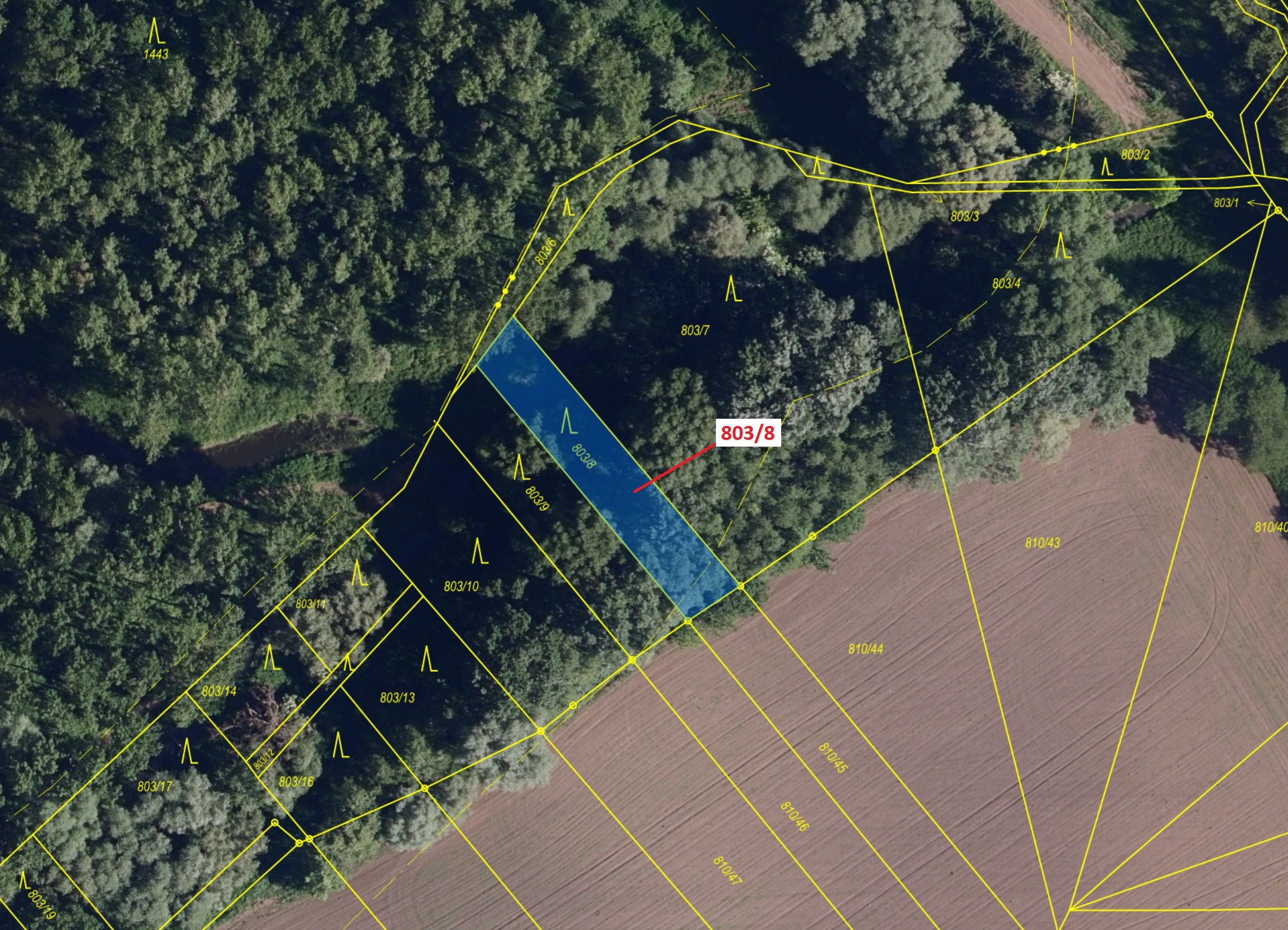 Lesní pozemky o výměře 574 m2, podíl 1/1, katastrální území Přísnotice, obec Přísnotice, obec s rozš