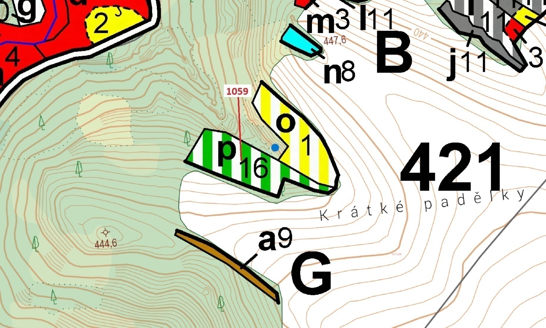 Lesní pozemek o výměře 3646 m2, podíl 1/1, katastrální území Jedov, obec Náměšť nad Oslavou, obec s 