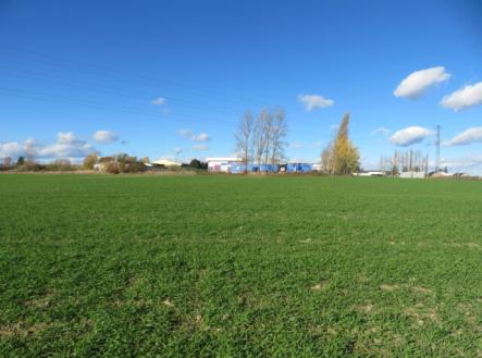 Prodej pozemku, zemědělská půda, 9 691 m²