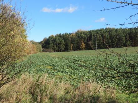 Prodej pozemku, zemědělská půda, 9 691 m²