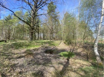 Prodej pozemku, trvalý travní porost, 1 061 m²