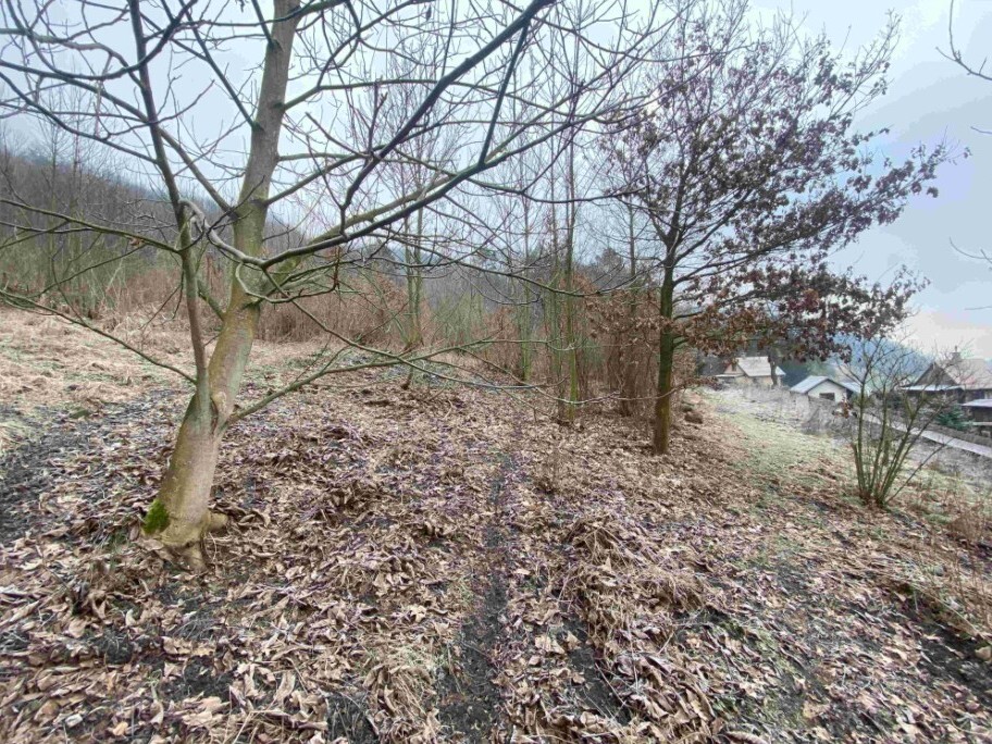 Pozemek o velikosti 3310m2, Ryjice