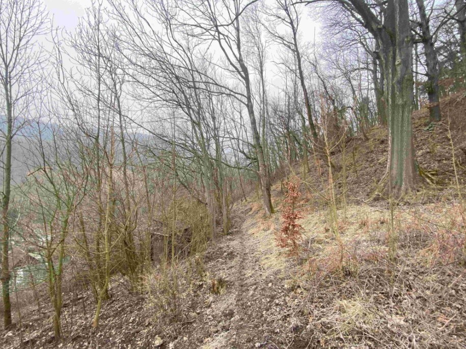 Pozemek o velikosti 3310m2, Ryjice