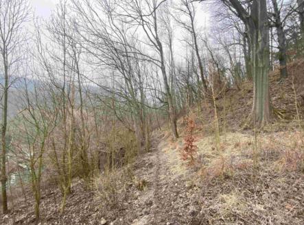 Prodej pozemku, trvalý travní porost, 3 310 m²