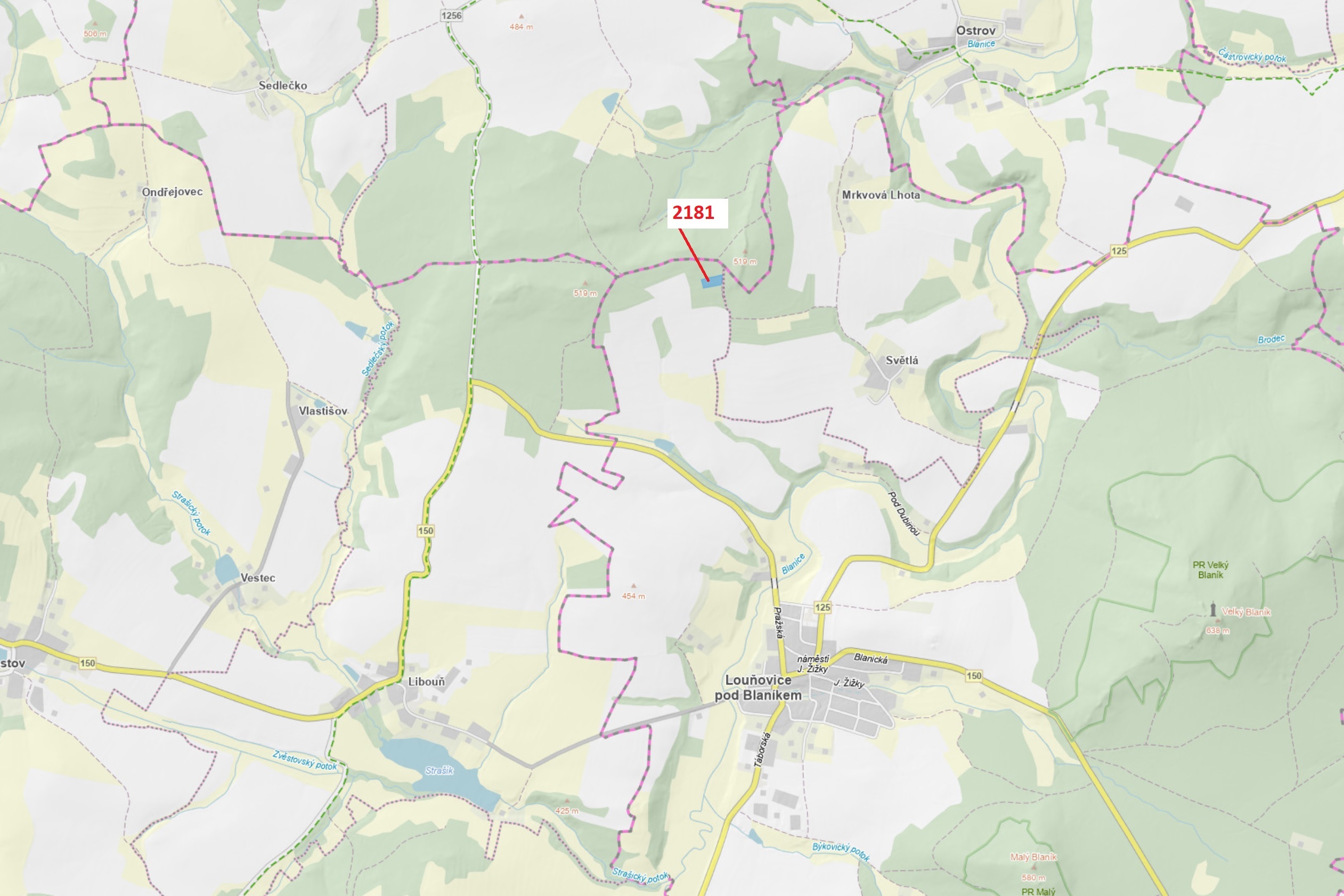 Lesní pozemek o výměře 4236 m2, podíl 1/1, katastrální území Louňovice pod Blaníkem, obec Louňovice 