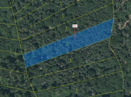 Prodej pozemku, les, 4 478 m²