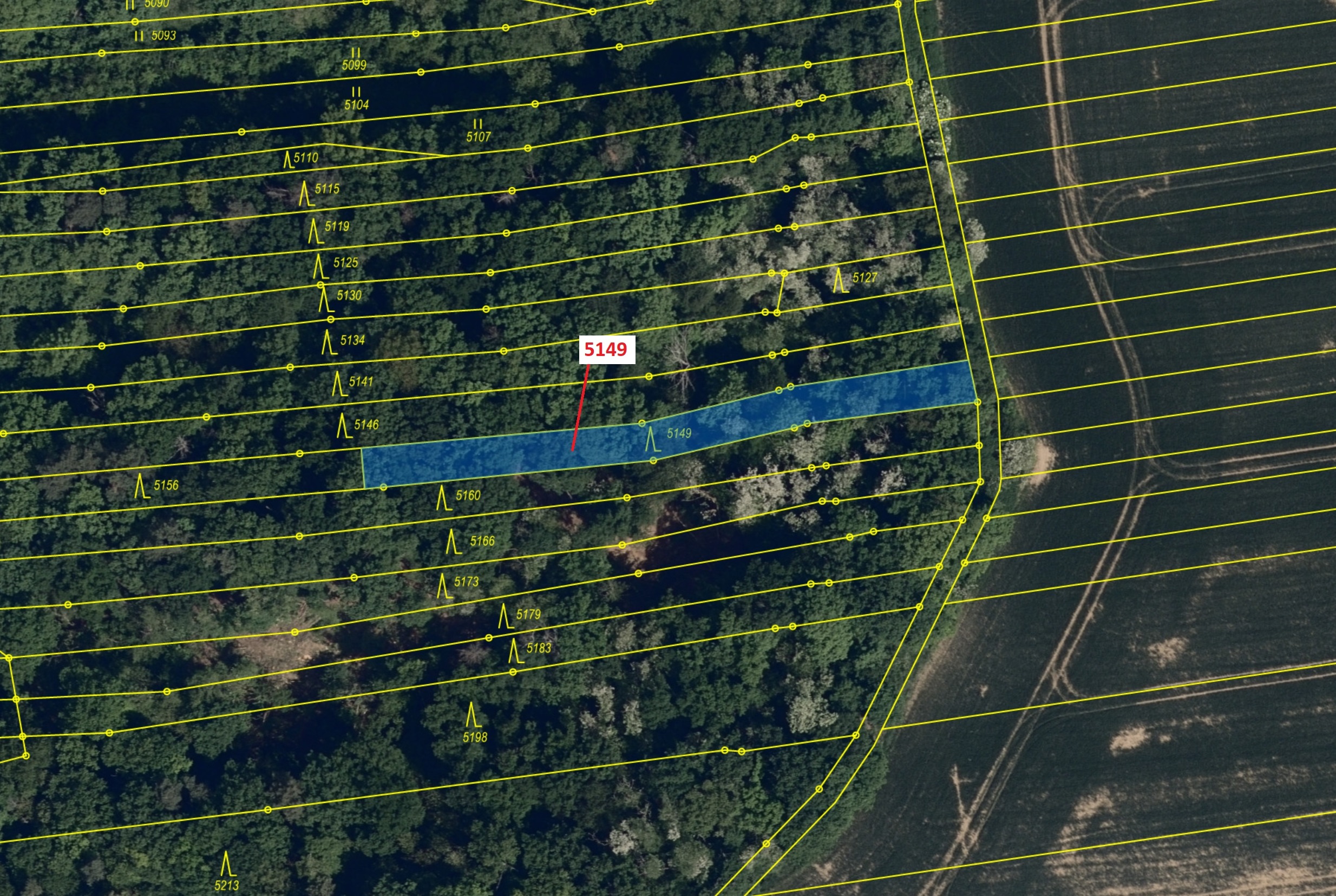Lesní pozemek o výměře 694 m2, podíl 1/1, katastrální území Hradčovice, obec Hradčovice, obec s rozš