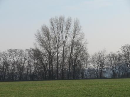 Prodej pozemku, zemědělská půda, 22 578 m²