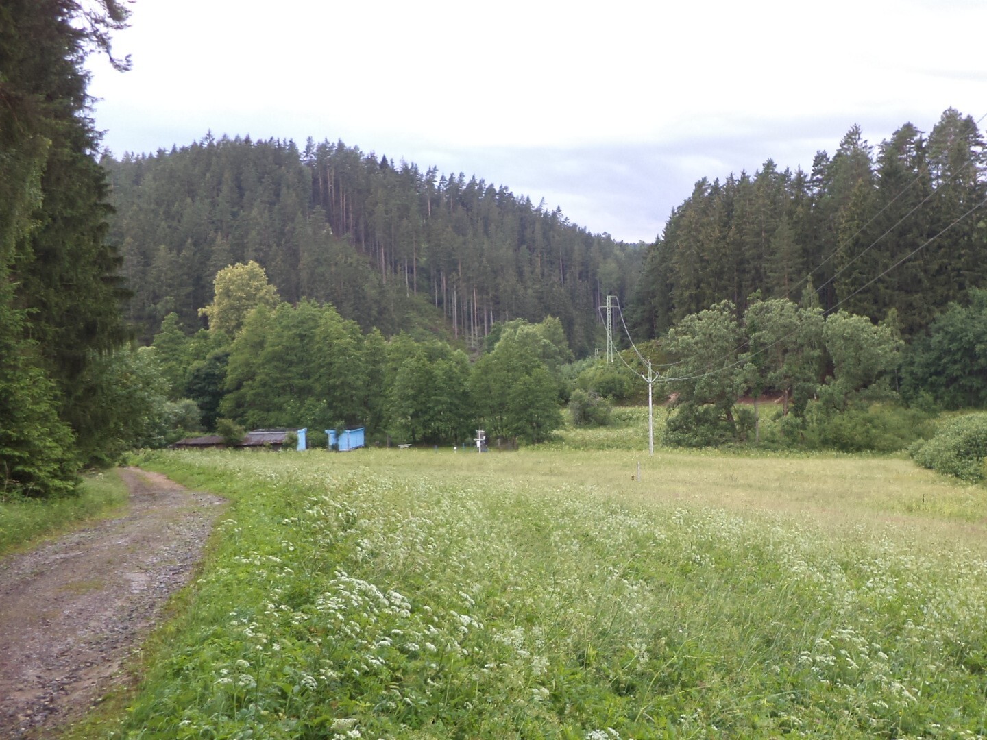 Stavební pozemek o velikosti 18922m2, Horní Teplice