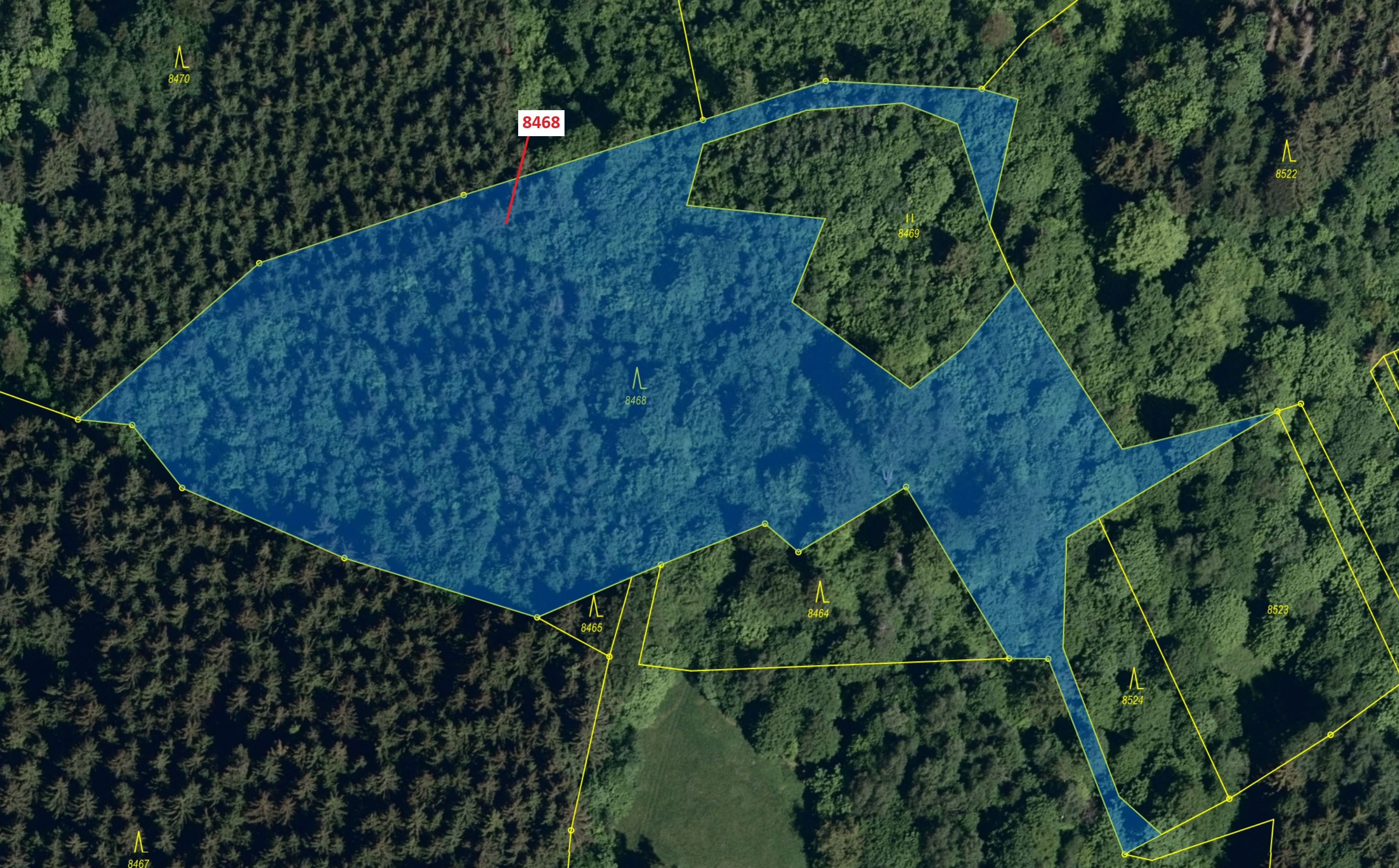 Lesní pozemek o výměře 11 544 m2, podíl 1/1, katastrální území Vsetín, obec Vsetín, obec s rozšířeno