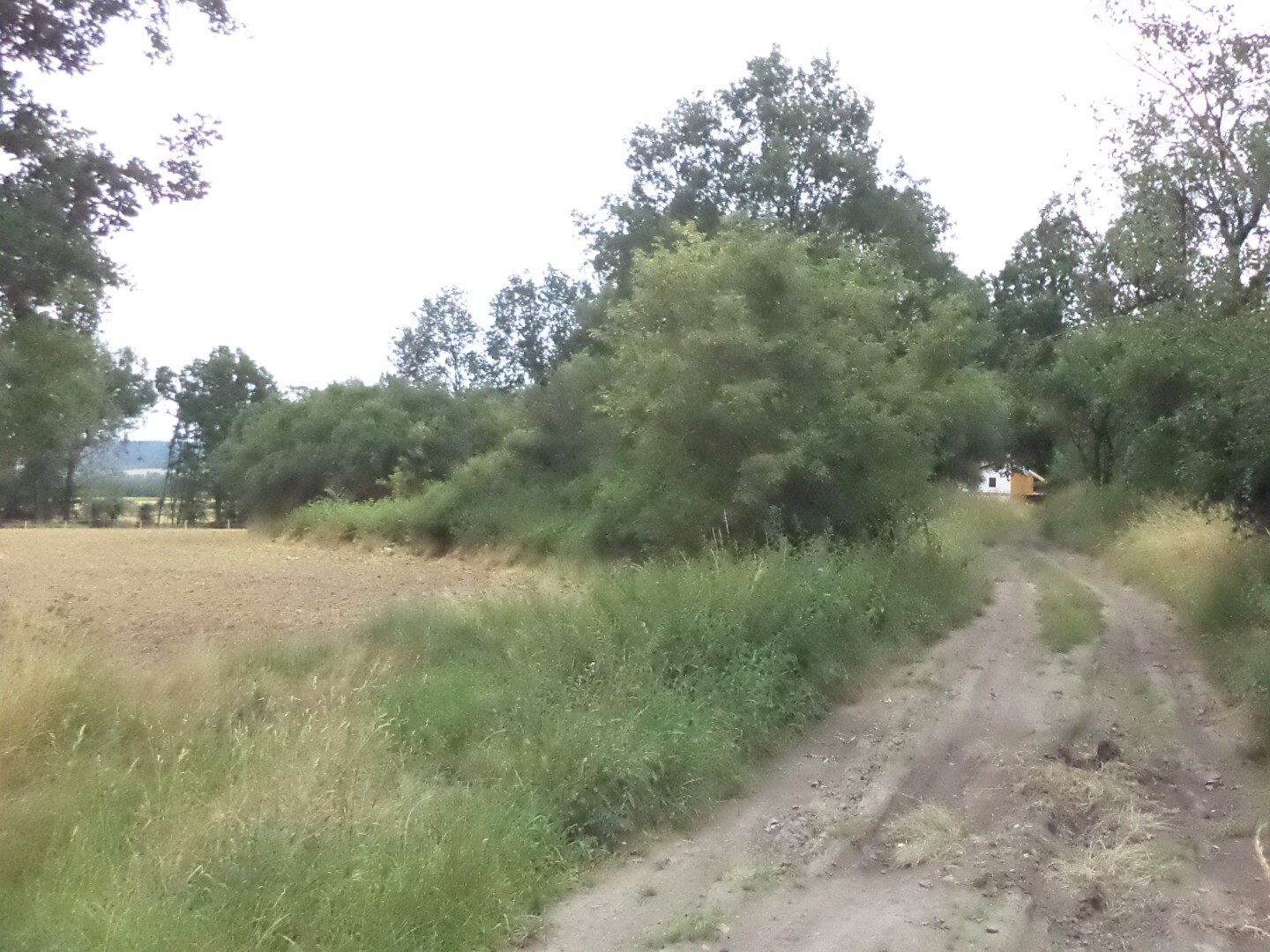 Pozemek o velikosti 1100m2, Vlkýš