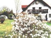 Prodej domu/vily, 270 m²