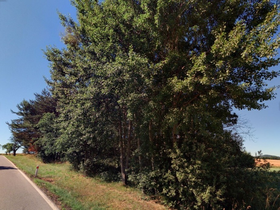 Pozemek o velikosti 915m2, Rankov u Trhových Svinů