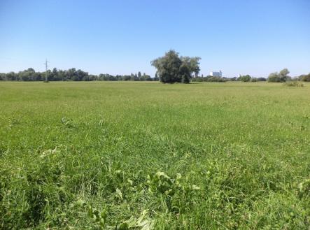 Prodej pozemku, trvalý travní porost, 4 728 m²