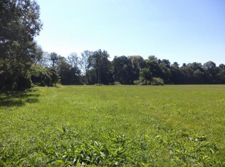 Prodej pozemku, trvalý travní porost, 4 728 m²