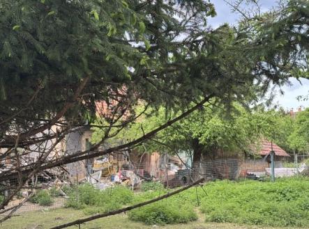 Prodej domu/vily, 385 m²