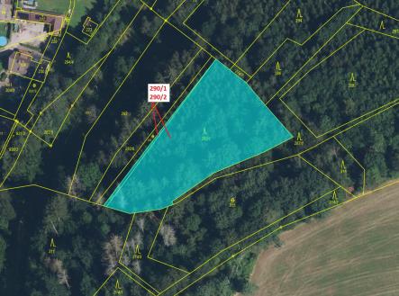 Prodej pozemku, les, 3 359 m²