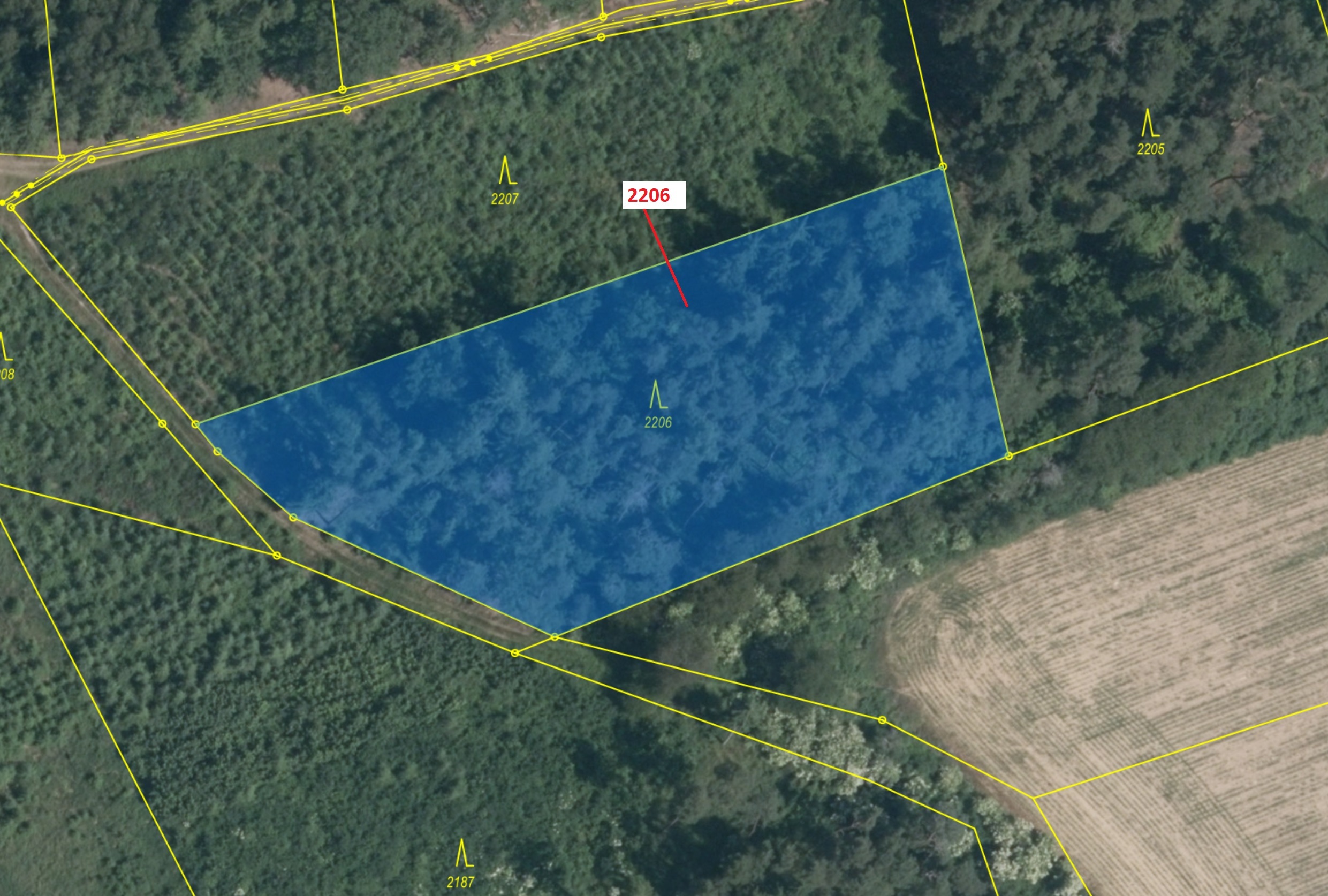 Lesní pozemek o výměře 4560 m2, podíl 1/1, katastrální území Louňovice pod Blaníkem, obec Louňovice 