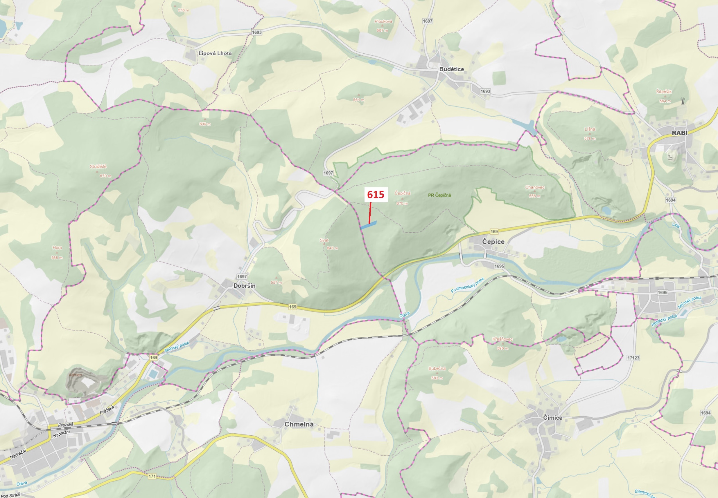 Lesní pozemek o výměře 4478 m2, podíl 1/1, katastrální území Čepice, obec Rabí, obec s rozšířenou pů