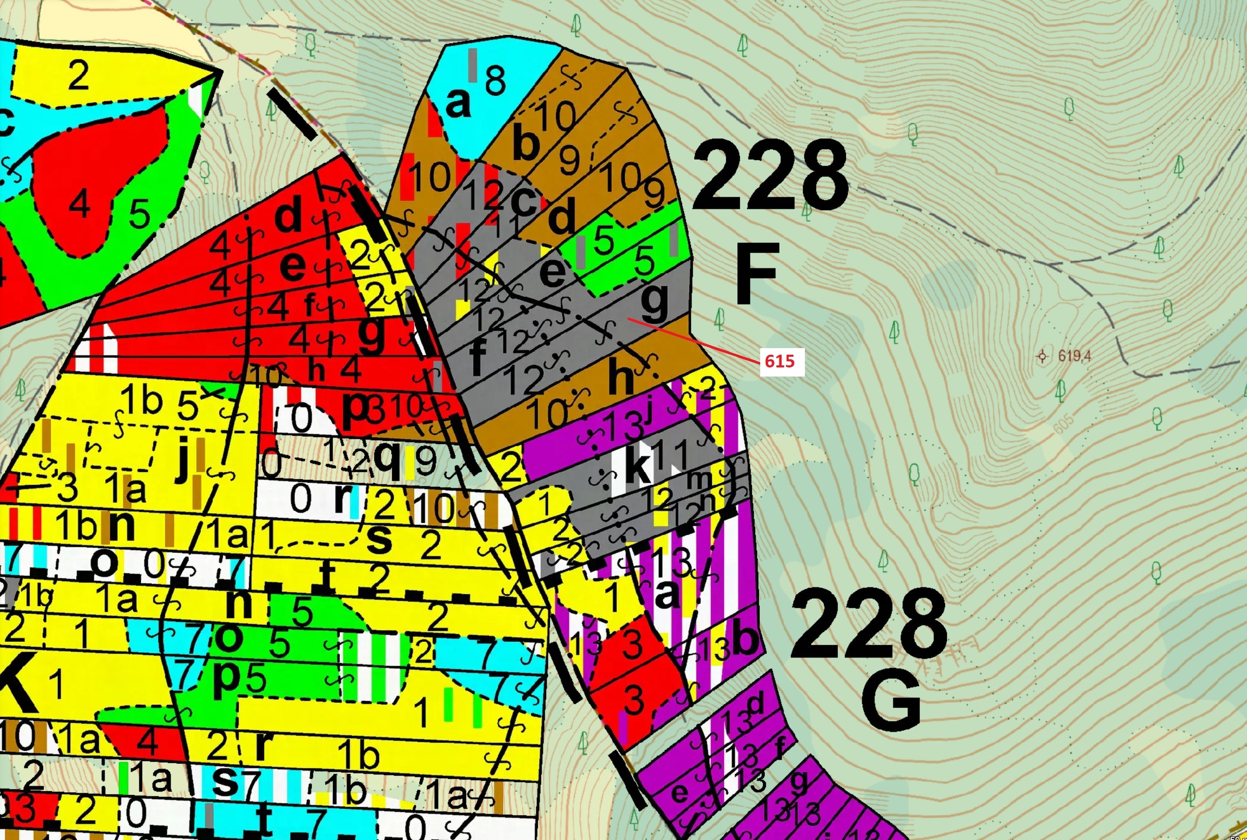 Lesní pozemek o výměře 4478 m2, podíl 1/1, katastrální území Čepice, obec Rabí, obec s rozšířenou pů