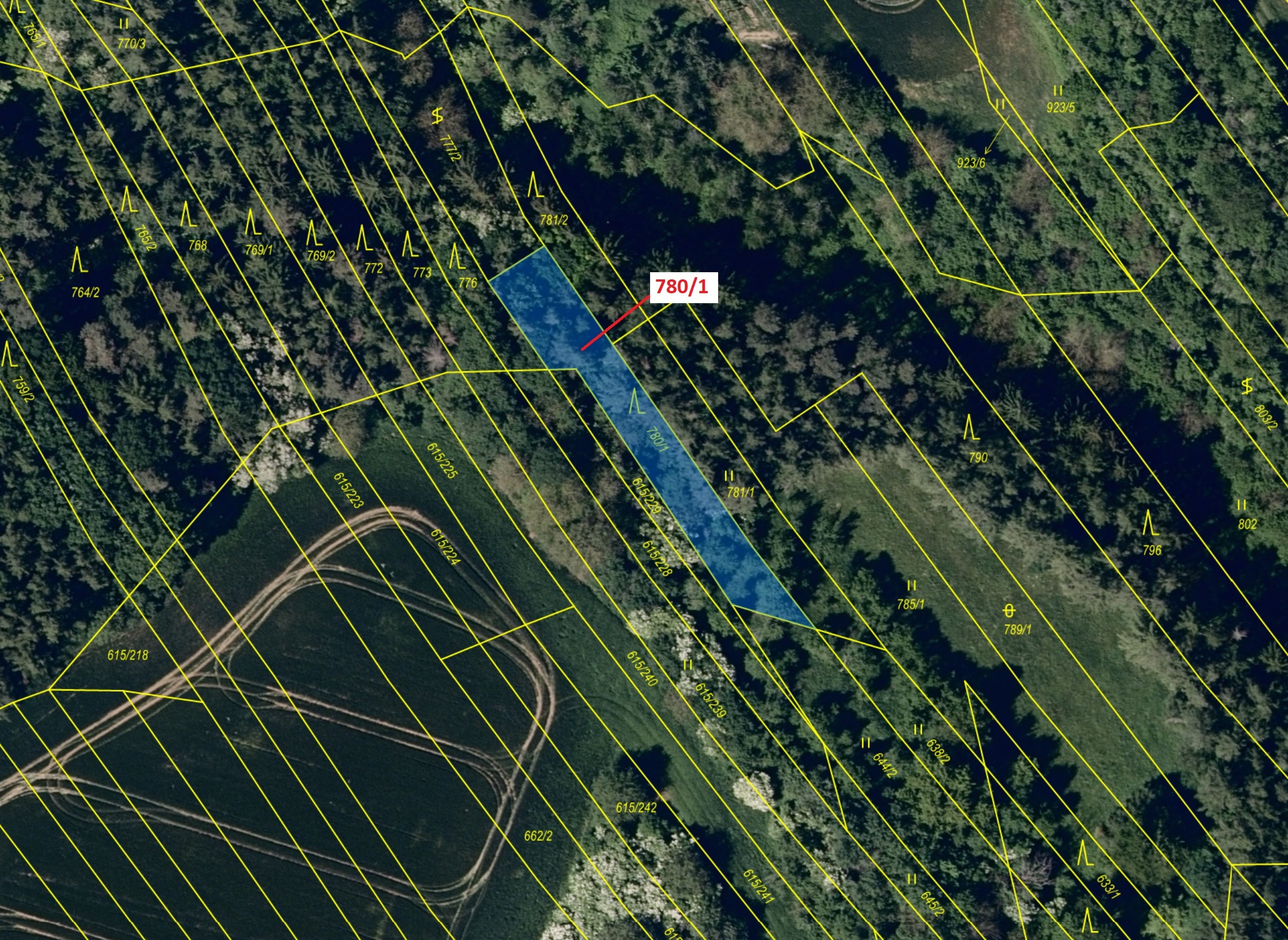 Lesní pozemek o výměře 659 m2, podíl 1/1, katastrální území Jalubí, obec Jalubí, obec s rozšířenou p