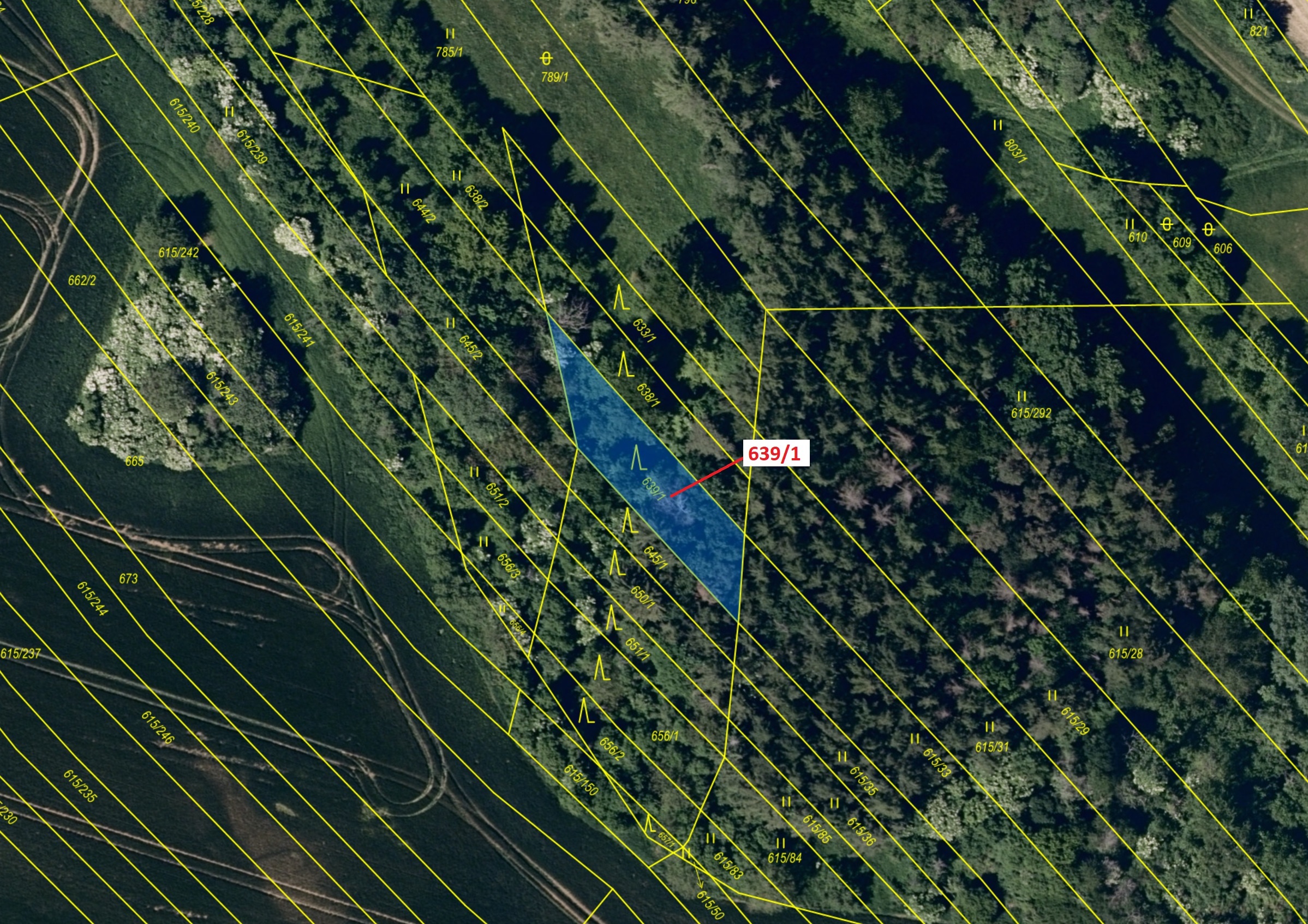 Lesní pozemek o výměře 453 m2, podíl 1/1, katastrální území Jalubí, obec Jalubí, obec s rozšířenou p