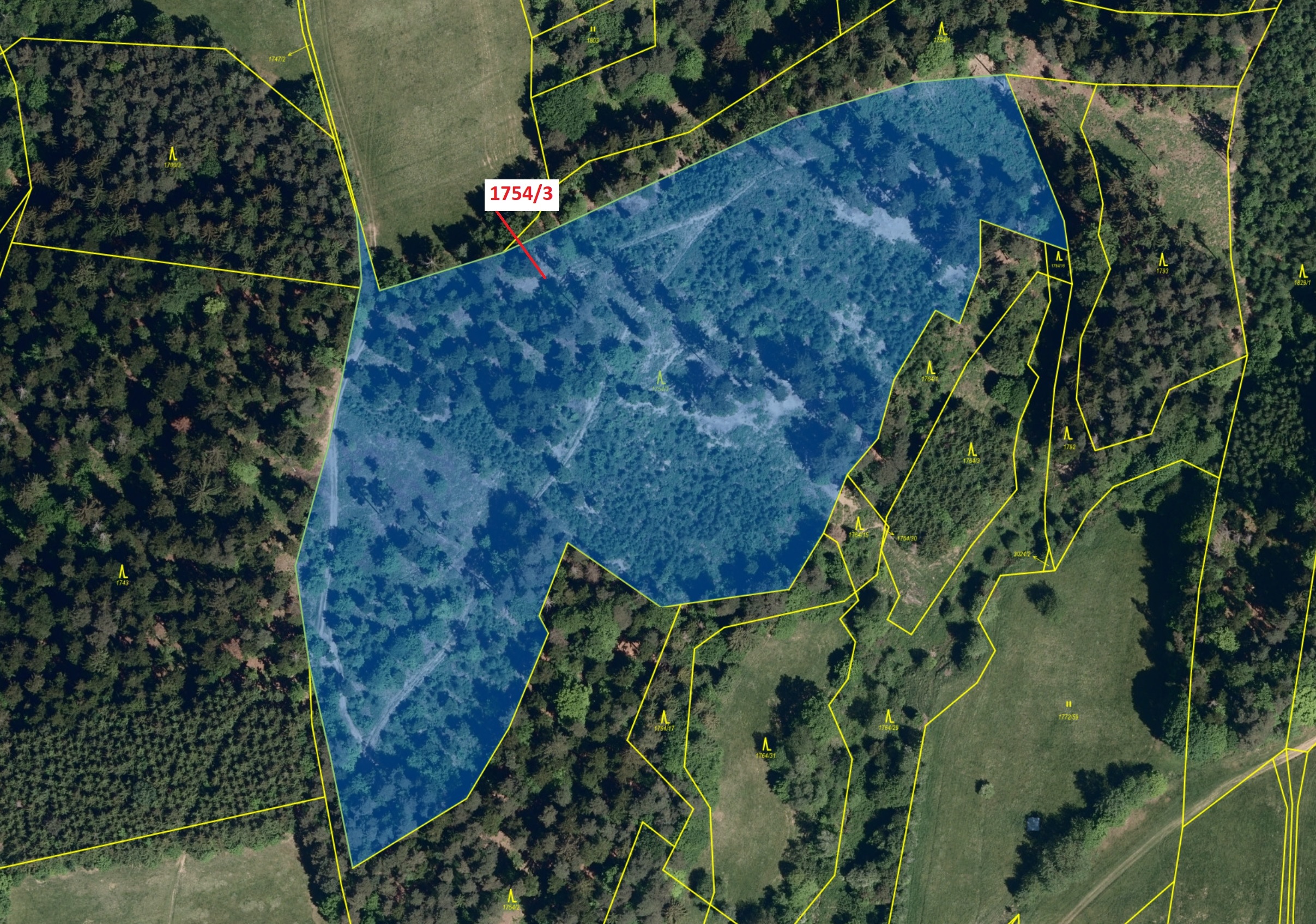 Lesní pozemek o výměře 32 273 m2, podíl 1/1, katastrální území Trnava u Zlína, obec Trnava, obec s r