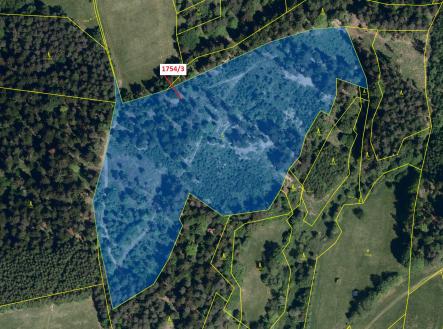 Prodej pozemku, les, 32 273 m²