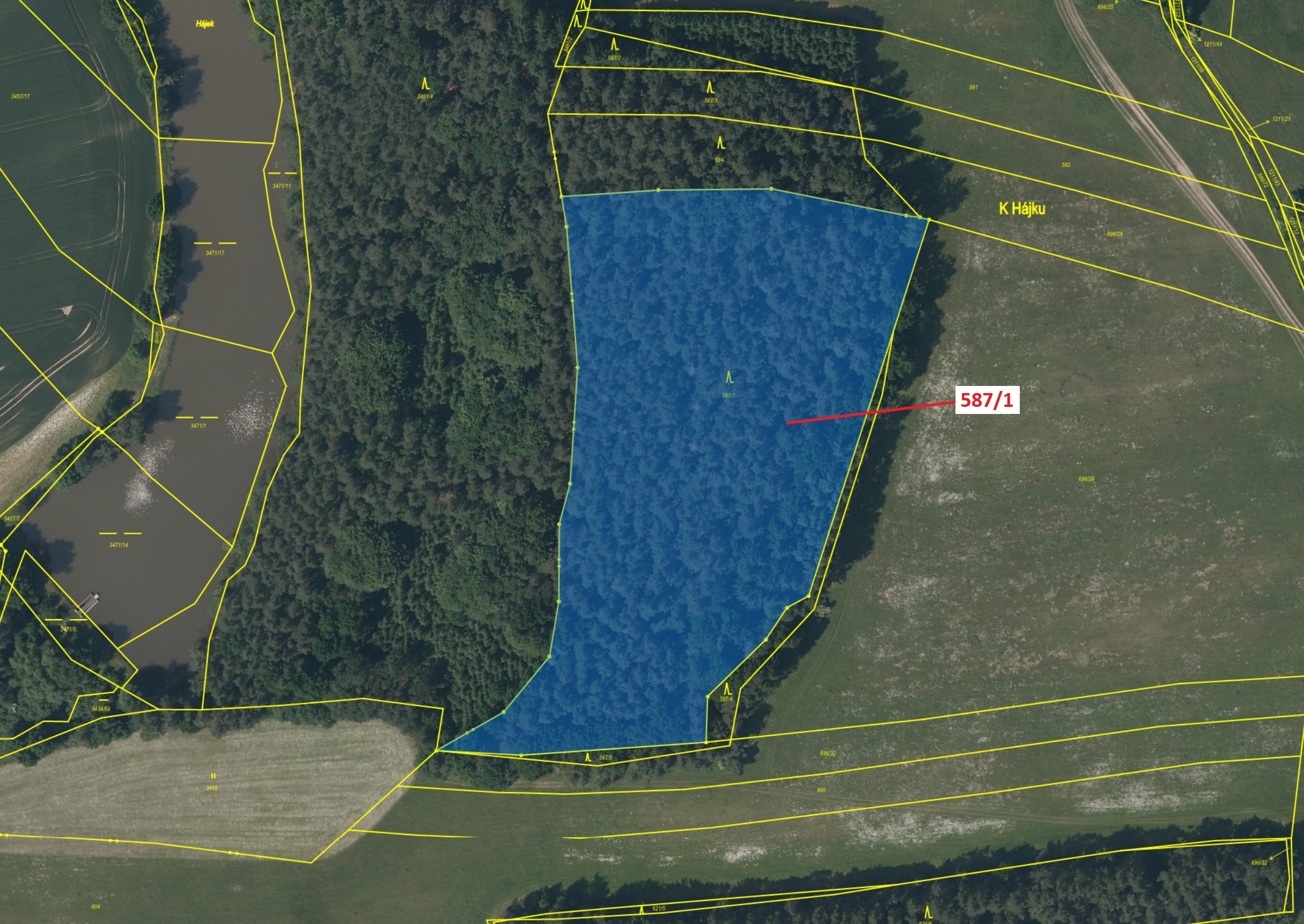 Lesní pozemek o výměře 20 443 m2, podíl 1/1, katastrální území Bukvice u Trhových Svinů, obec Trhové