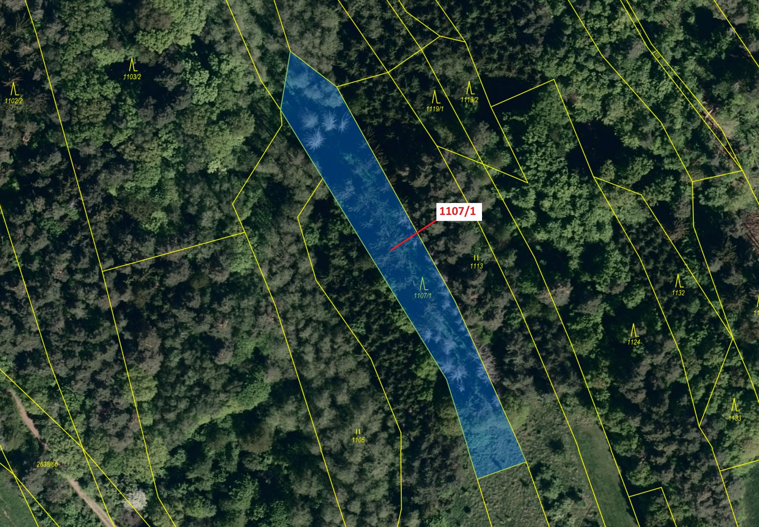 Lesní pozemek o výměře 2302 m2, podíl 1/1, katastrální území Ludkovice, obec Ludkovice, obec s rozší