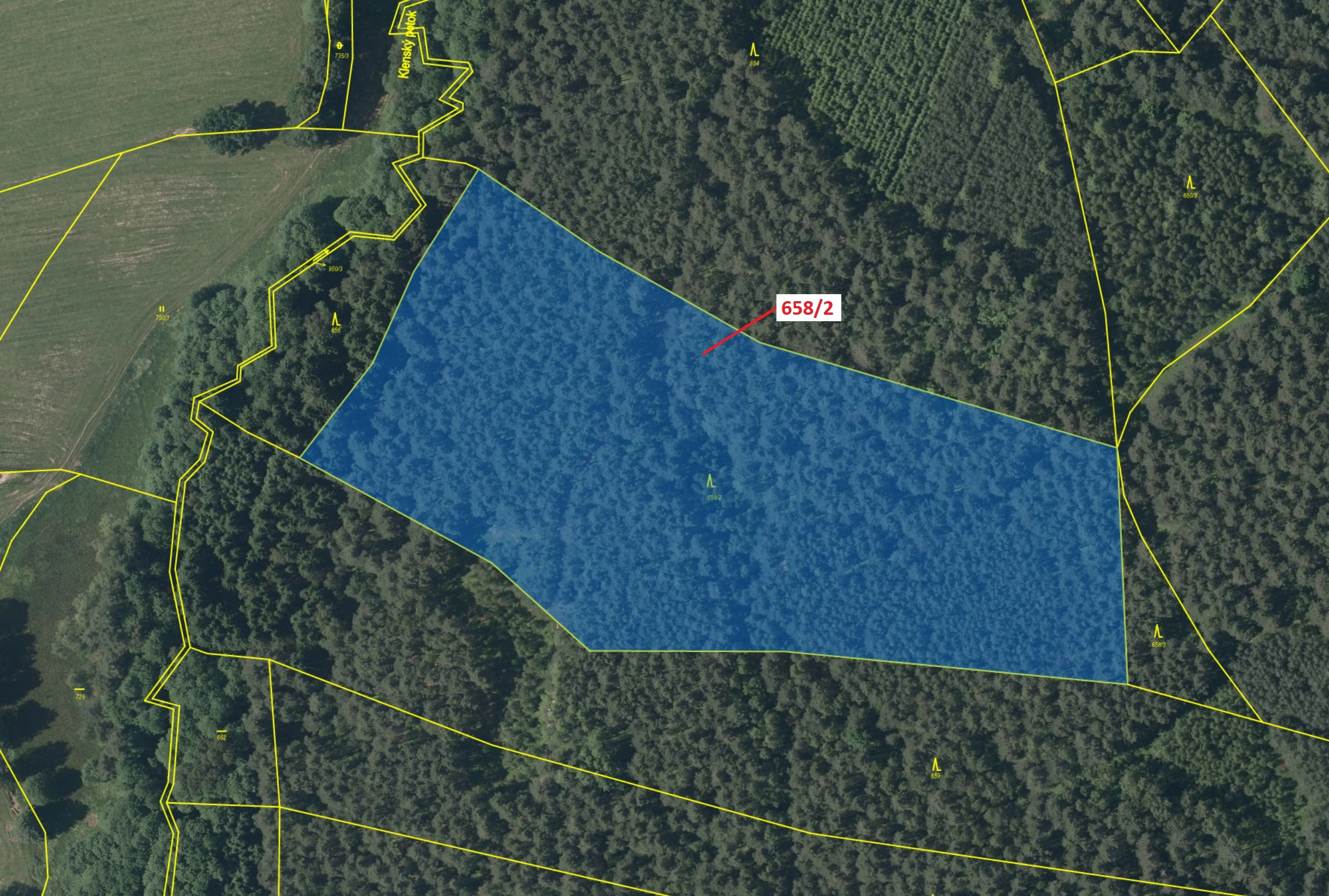 Lesní pozemek o výměře 26 622 m2, podíl 1/1, katastrální území Slavče u Trhových Svinů, obec Slavče,