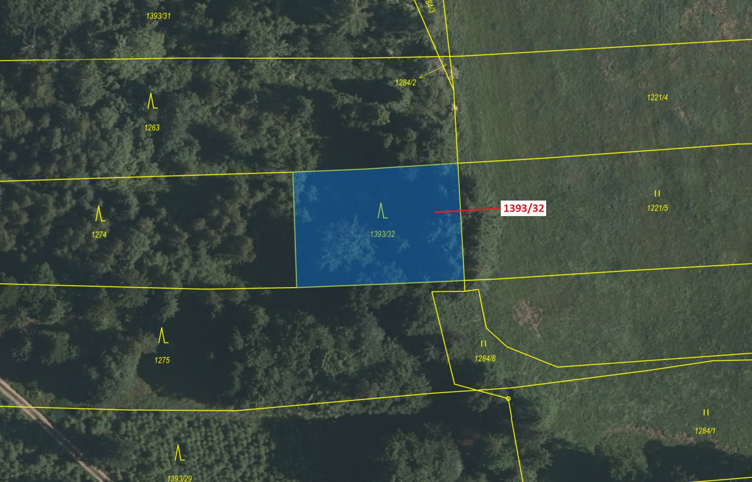 Lesní pozemek o výměře 1388 m2, podíl 1/1, katastrální území Strážkovice, obec Strážkovice, obec s r