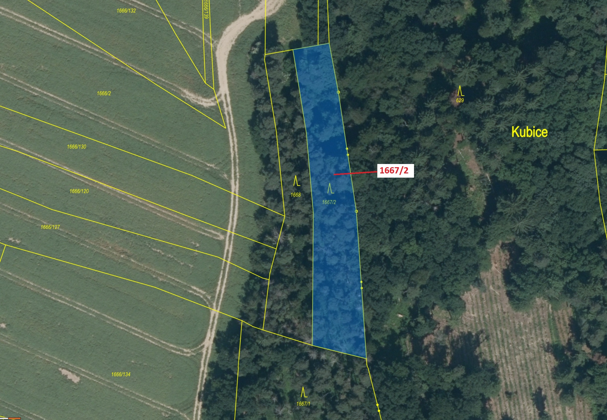 Lesní pozemek o výměře 2159 m2, podíl 1/1, katastrální území Trhový Štěpánov, obec Trhový Štěpánov, 