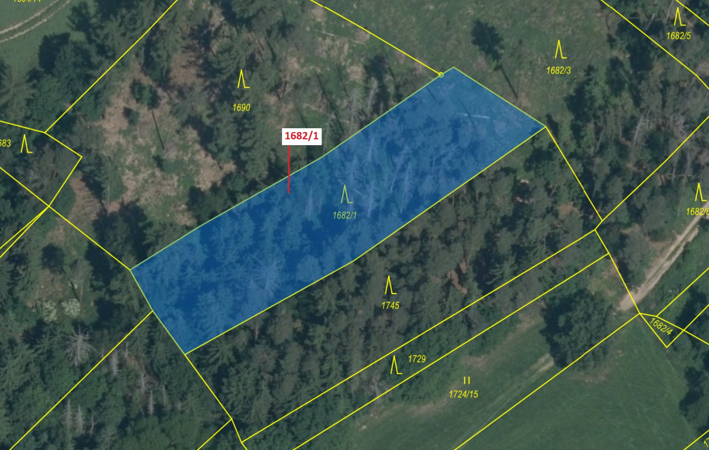 Lesní pozemek o výměře 2201 m2, podíl 1/1, katastrální území Trhový Štěpánov, obec Trhový Štěpánov, 