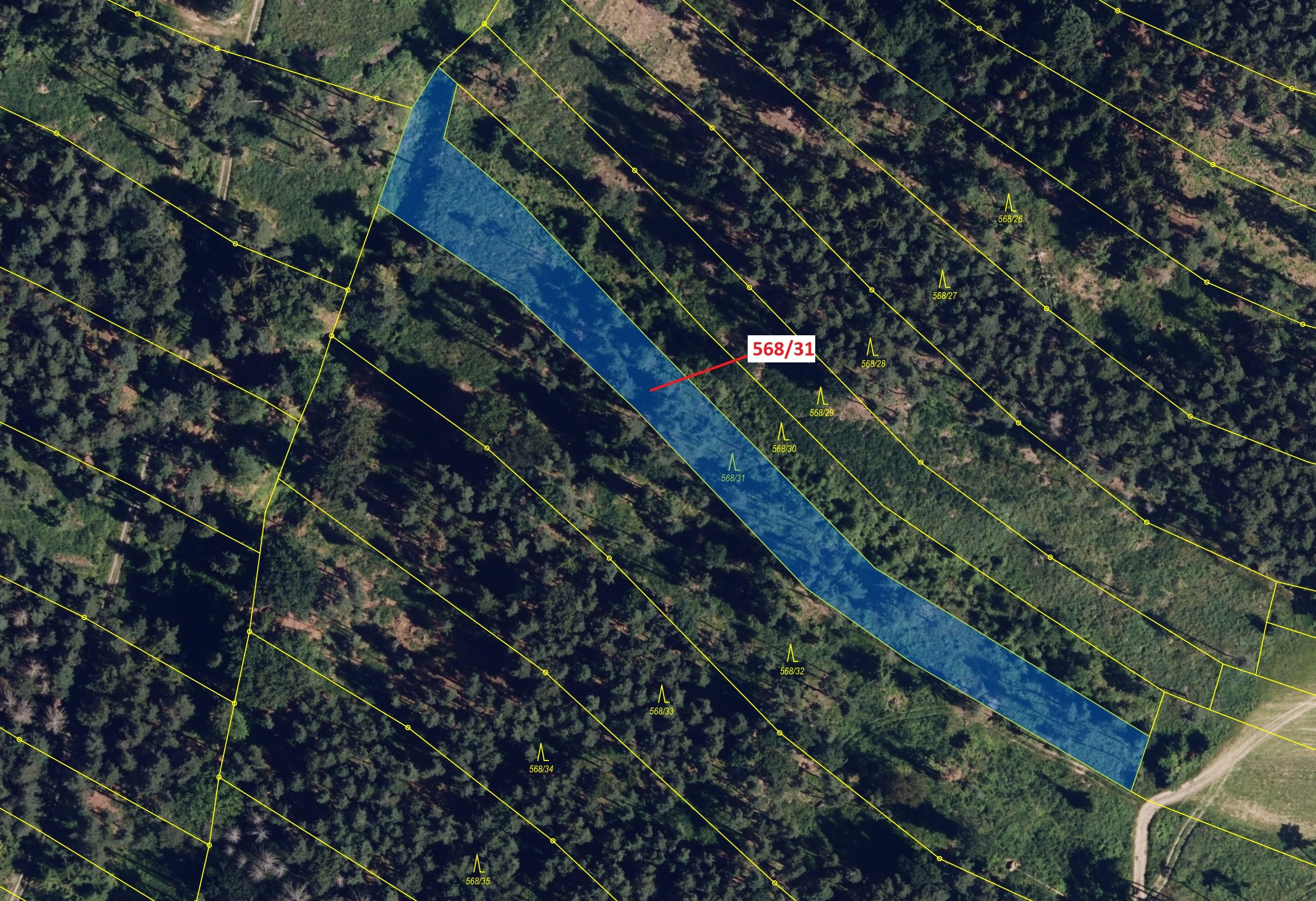 Lesní pozemek o výměře 3557 m2, podíl 1/1, katastrální území Loučka u Bílska, obec Loučka, obec s ro