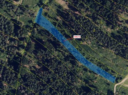 Prodej pozemku, les, 3 557 m²