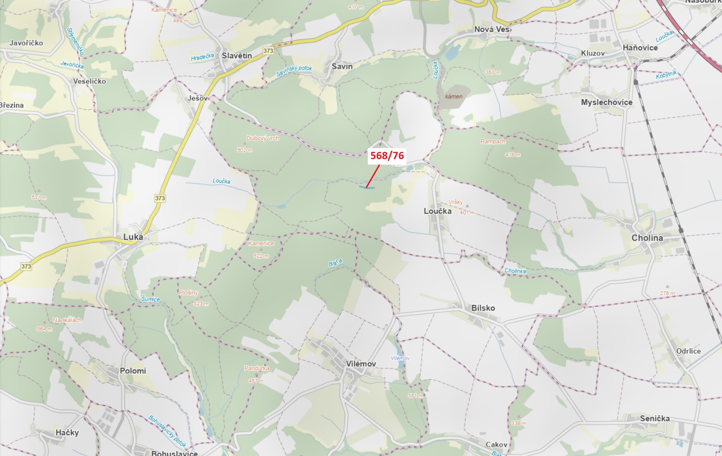 Lesní pozemek o výměře 3720 m2, podíl 1/1, katastrální území Loučka u Bílska, obec Loučka, obec s ro