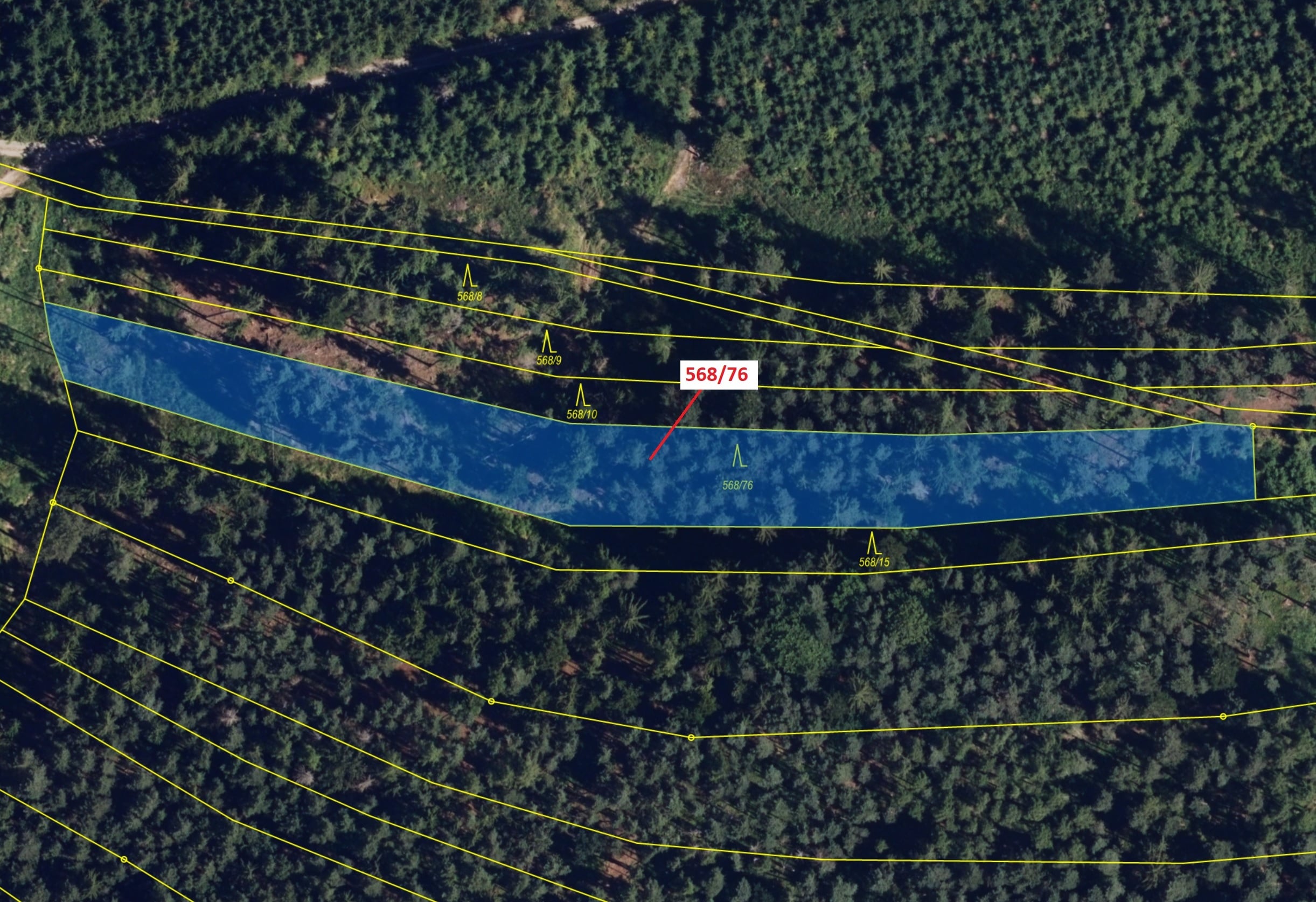 Lesní pozemek o výměře 3720 m2, podíl 1/1, katastrální území Loučka u Bílska, obec Loučka, obec s ro