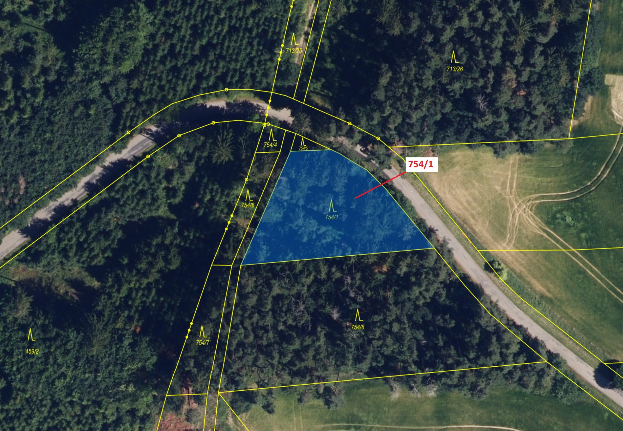 Lesní pozemek o výměře 1610 m2, podíl 1/1, katastrální území Loučka u Bílska, obec Loučka, obec s ro