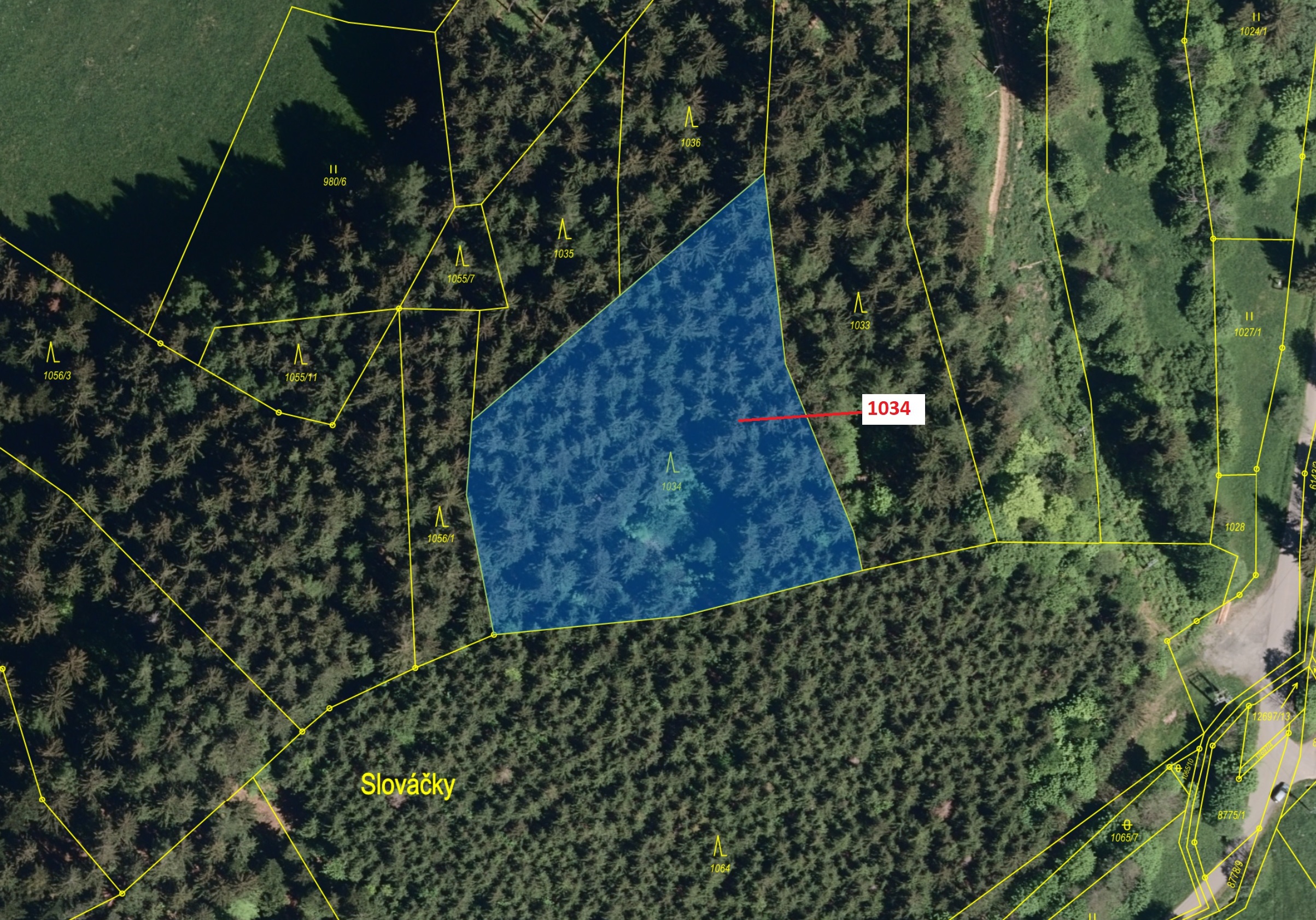 Lesní pozemek o výměře 4417 m2, podíl 1/1, katastrální území Halenkov, obec Halenkov, obec s rozšíře