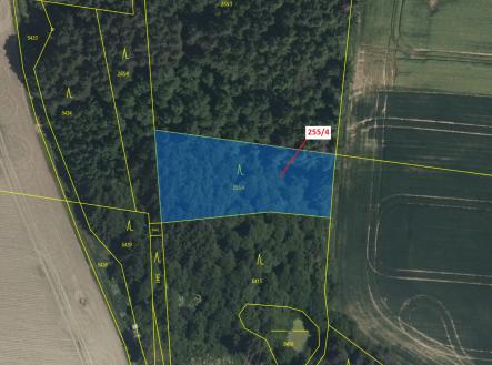Prodej pozemku, les, 2 148 m²