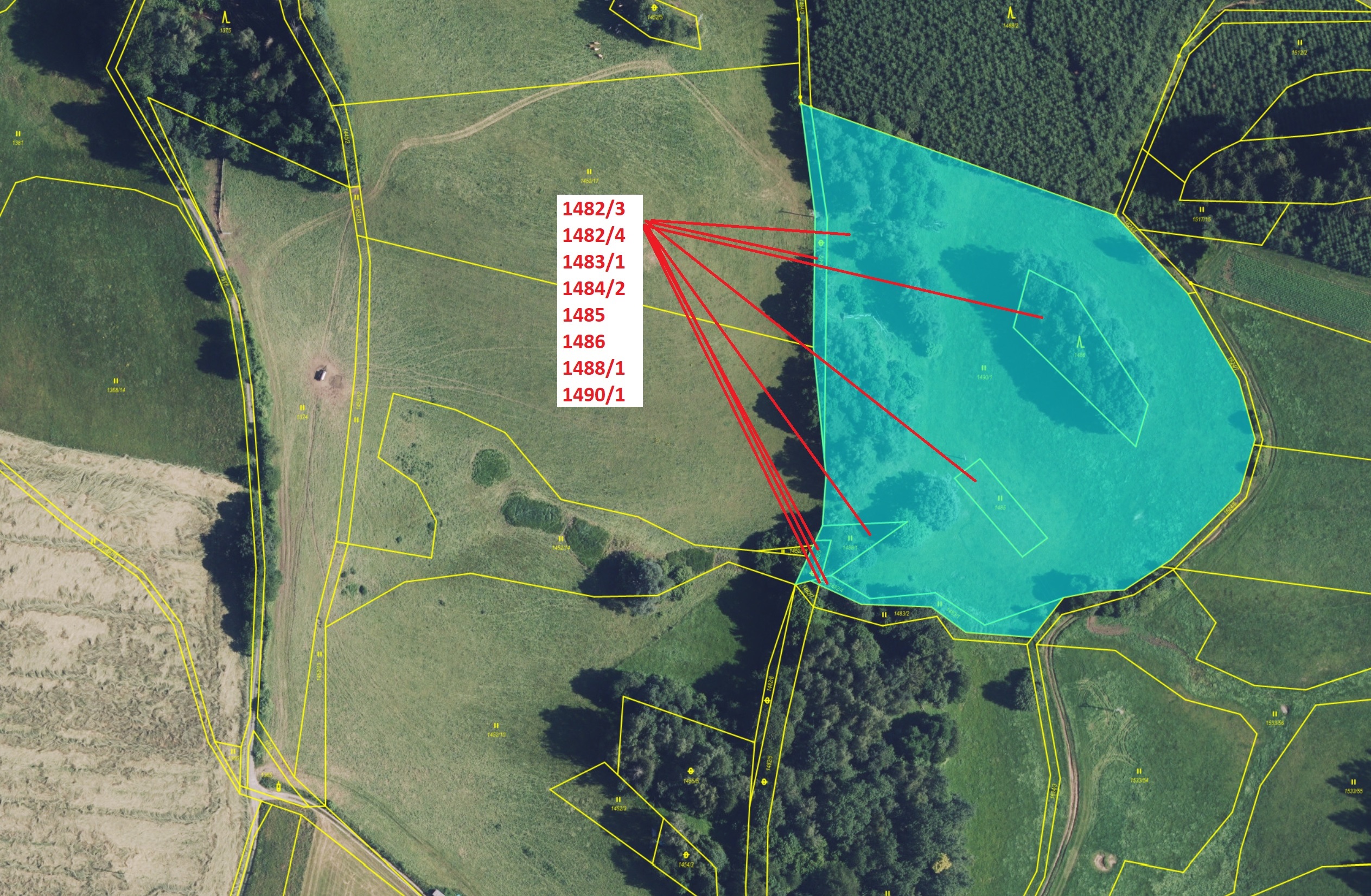 Trvalý travní porost a ostatní plocha o výměře 22 765 m2, podíl 1/1, katastrální území Jedlí, obec J