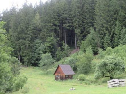 Prodej pozemku, trvalý travní porost, 24 946 m²