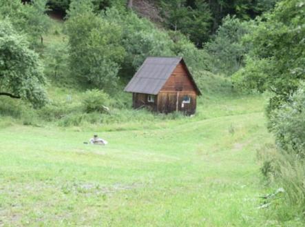Prodej pozemku, trvalý travní porost, 24 946 m²