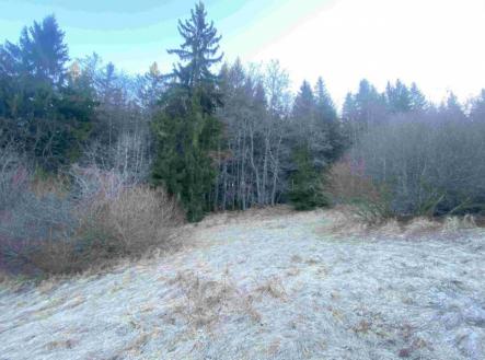 Prodej pozemku, ostatní, 2 377 m²