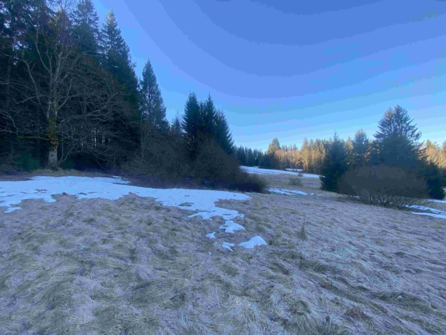 Pozemek o velikosti 2377m2, Železná Ruda