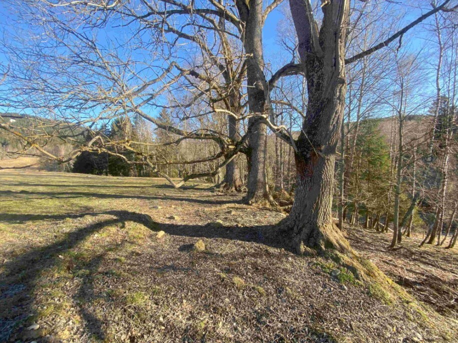Pozemek o velikosti 1644m2, Špičák
