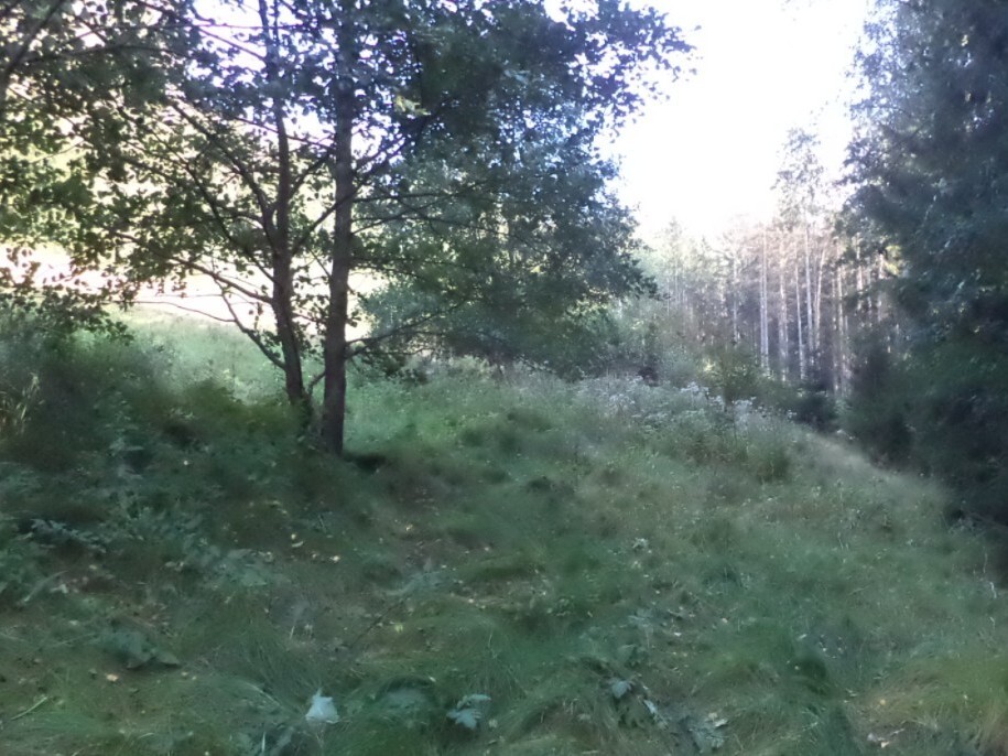Pozemek o velikosti 496m2, Roztoky u Semil