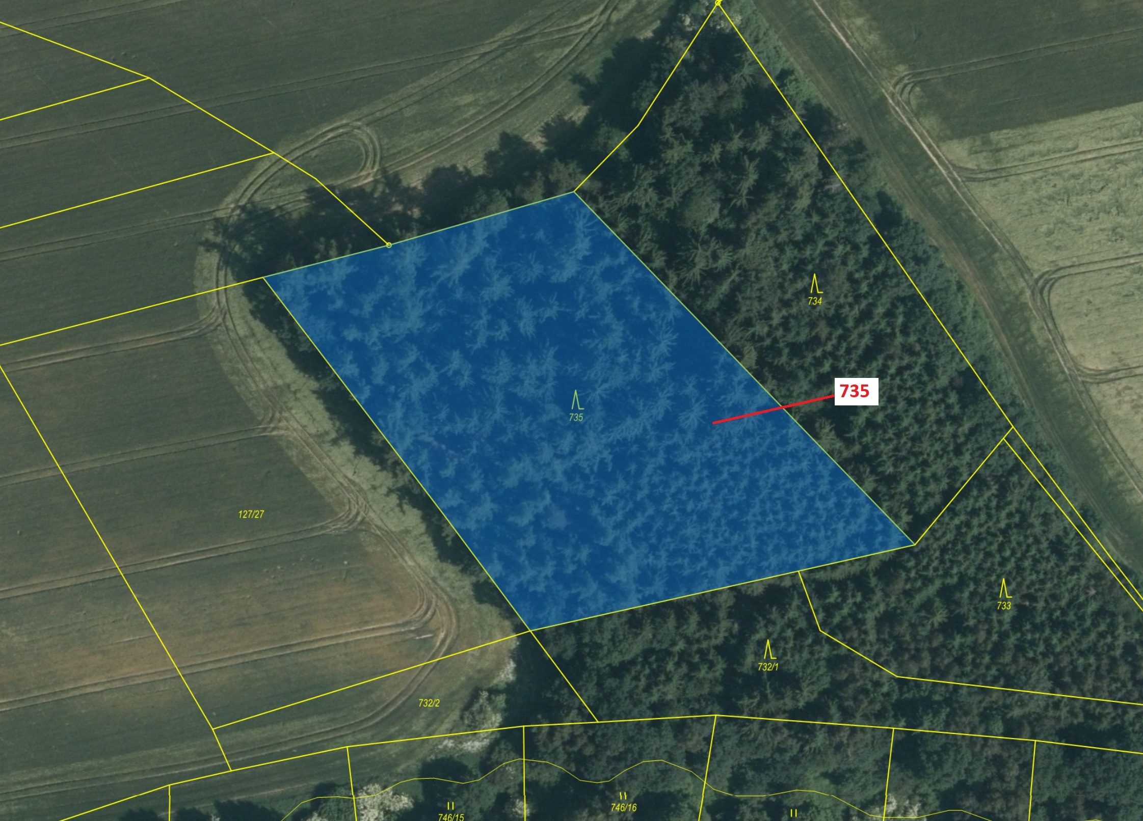 Lesní pozemek o výměře 6963 m2, podíl 1/1, katastrální území Bořkovice, obec Zvěstov, obec s rozšíře